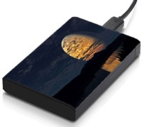 meSleep HD42162 Hard Disk Skin(Multicolor)   Laptop Accessories  (meSleep)