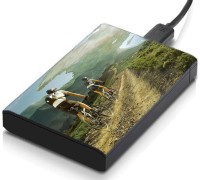 meSleep HD1535 Hard Disk Skin(Multicolor)   Laptop Accessories  (meSleep)