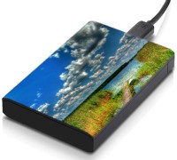 meSleep HD41173 Hard Disk Skin(Multicolor)   Laptop Accessories  (meSleep)
