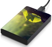 meSleep HD46320 Hard Disk Skin(Multicolor)   Laptop Accessories  (meSleep)