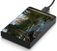 meSleep HD31125 Hard Disk Skin(Multicolor)   Laptop Accessories  (meSleep)