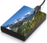 meSleep HD38200 Hard Disk Skin(Multicolor)   Laptop Accessories  (meSleep)