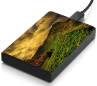 meSleep HD43136 Hard Disk Skin(Multicolor)   Laptop Accessories  (meSleep)
