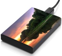 meSleep HD30233 Hard Disk Skin(Multicolor)   Laptop Accessories  (meSleep)