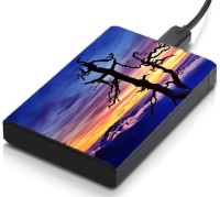 meSleep HD37321 Hard Disk Skin(Multicolor)   Laptop Accessories  (meSleep)