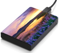 meSleep HD45345 Hard Disk Skin(Multicolor)   Laptop Accessories  (meSleep)
