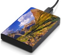 meSleep HD36059 Hard Disk Skin(Multicolor)   Laptop Accessories  (meSleep)