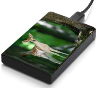 meSleep HD1452 Hard Disk Skin(Multicolor)   Laptop Accessories  (meSleep)