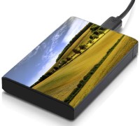 meSleep HD32351 Hard Disk Skin(Multicolor)   Laptop Accessories  (meSleep)
