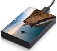 meSleep HD42037 Hard Disk Skin(Multicolor)   Laptop Accessories  (meSleep)