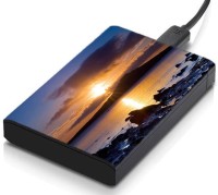 meSleep HD28173 Hard Disk Skin(Multicolor)   Laptop Accessories  (meSleep)
