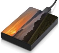 meSleep HD30332 Hard Disk Skin(Multicolor)   Laptop Accessories  (meSleep)