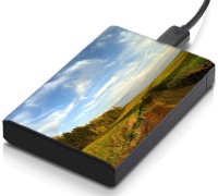 meSleep HD41023 Hard Disk Skin(Multicolor)   Laptop Accessories  (meSleep)