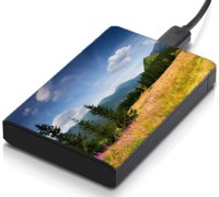 meSleep HD43246 Hard Disk Skin(Multicolor)   Laptop Accessories  (meSleep)