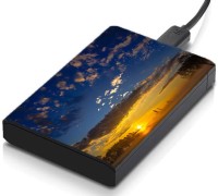 meSleep HD41055 Hard Disk Skin(Multicolor)   Laptop Accessories  (meSleep)
