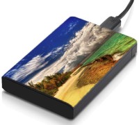 meSleep HD30247 Hard Disk Skin(Multicolor)   Laptop Accessories  (meSleep)