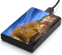 meSleep HD41130 Hard Disk Skin(Multicolor)   Laptop Accessories  (meSleep)