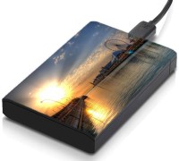 meSleep HD46101 Hard Disk Skin(Multicolor)   Laptop Accessories  (meSleep)