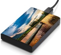 meSleep HD36176 Hard Disk Skin(Multicolor)   Laptop Accessories  (meSleep)