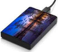 meSleep HD34160 Hard Disk Skin(Multicolor)   Laptop Accessories  (meSleep)