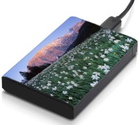 meSleep HD38066 Hard Disk Skin(Multicolor)   Laptop Accessories  (meSleep)