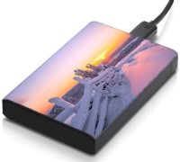 meSleep HD41367 Hard Disk Skin(Multicolor)   Laptop Accessories  (meSleep)