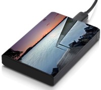 meSleep HD46207 Hard Disk Skin(Multicolor)   Laptop Accessories  (meSleep)