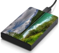 meSleep HD41075 Hard Disk Skin(Multicolor)   Laptop Accessories  (meSleep)