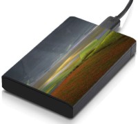 meSleep HD38058 Hard Disk Skin(Multicolor)   Laptop Accessories  (meSleep)