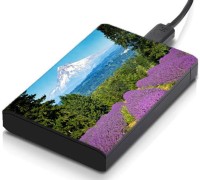 meSleep HD38209 Hard Disk Skin(Multicolor)   Laptop Accessories  (meSleep)