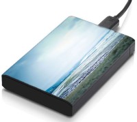 meSleep HD32333 Hard Disk Skin(Multicolor)   Laptop Accessories  (meSleep)