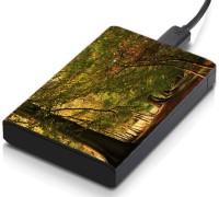 meSleep HD29009 Hard Disk Skin(Multicolor)   Laptop Accessories  (meSleep)