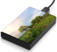 meSleep HD30162 Hard Disk Skin(Multicolor)   Laptop Accessories  (meSleep)