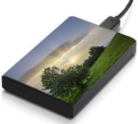 meSleep HD32059 Hard Disk Skin(Multicolor)   Laptop Accessories  (meSleep)