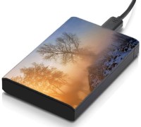meSleep HD42360 Hard Disk Skin(Multicolor)   Laptop Accessories  (meSleep)
