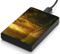meSleep HD37303 Hard Disk Skin(Multicolor)   Laptop Accessories  (meSleep)