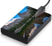 meSleep HD37115 Hard Disk Skin(Multicolor)   Laptop Accessories  (meSleep)