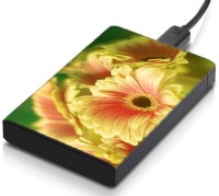 meSleep HD1486 Hard Disk Skin(Multicolor)   Laptop Accessories  (meSleep)