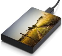 meSleep HD41024 Hard Disk Skin(Multicolor)   Laptop Accessories  (meSleep)