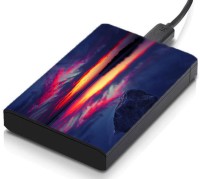 meSleep HD38267 Hard Disk Skin(Multicolor)   Laptop Accessories  (meSleep)