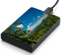 meSleep HD36223 Hard Disk Skin(Multicolor)   Laptop Accessories  (meSleep)