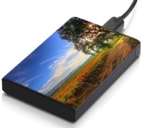 meSleep HD45180 Hard Disk Skin(Multicolor)   Laptop Accessories  (meSleep)
