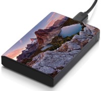 meSleep HD31171 Hard Disk Skin(Multicolor)   Laptop Accessories  (meSleep)