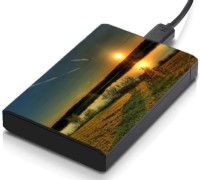 meSleep HD46104 Hard Disk Skin(Multicolor)   Laptop Accessories  (meSleep)