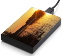 meSleep HD36302 Hard Disk Skin(Multicolor)   Laptop Accessories  (meSleep)
