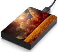 meSleep HD32221 Hard Disk Skin(Multicolor)   Laptop Accessories  (meSleep)