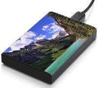 meSleep HD39197 Hard Disk Skin(Multicolor)   Laptop Accessories  (meSleep)