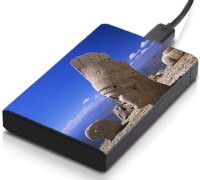 meSleep HD45309 Hard Disk Skin(Multicolor)   Laptop Accessories  (meSleep)