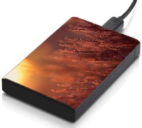 meSleep HD41193 Hard Disk Skin(Multicolor)   Laptop Accessories  (meSleep)