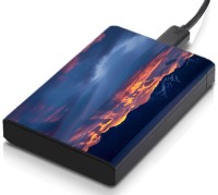 meSleep HD32110 Hard Disk Skin(Multicolor)   Laptop Accessories  (meSleep)